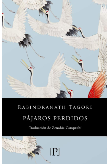 Pájaros perdidos