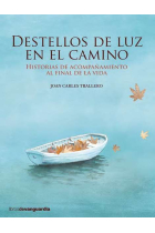 Destellos de luz en el camino. Historias de acompañamiento al final de la vida.