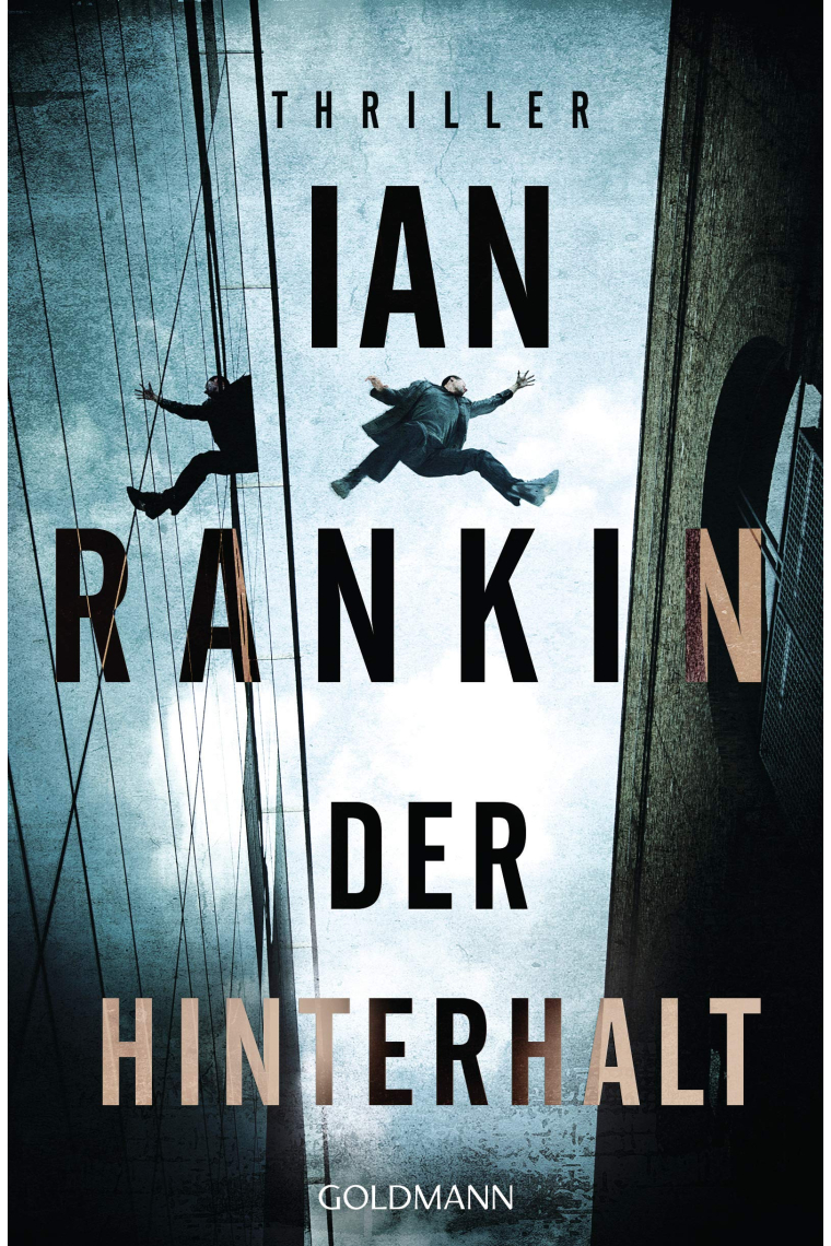 Der Hinterhalt: Thriller