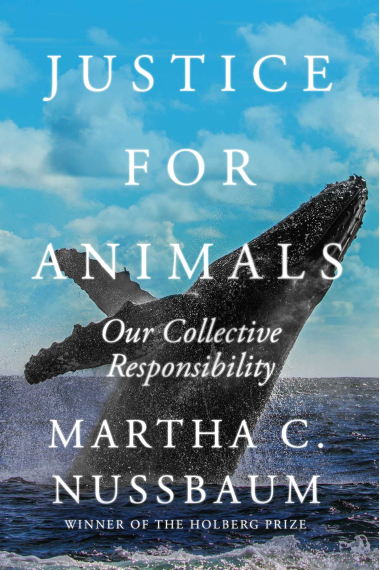 Justice for Animals: Our Collective Responsibility