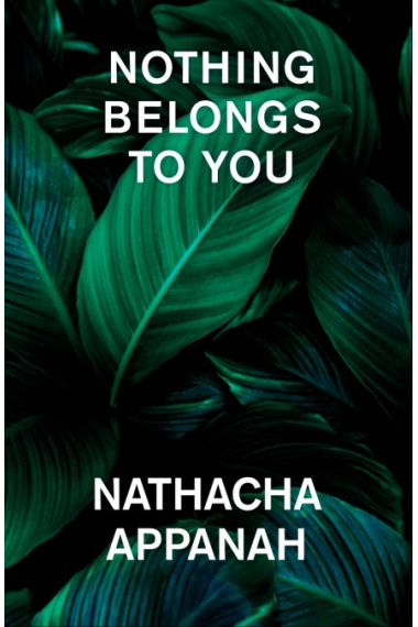 Nothing Belongs to You