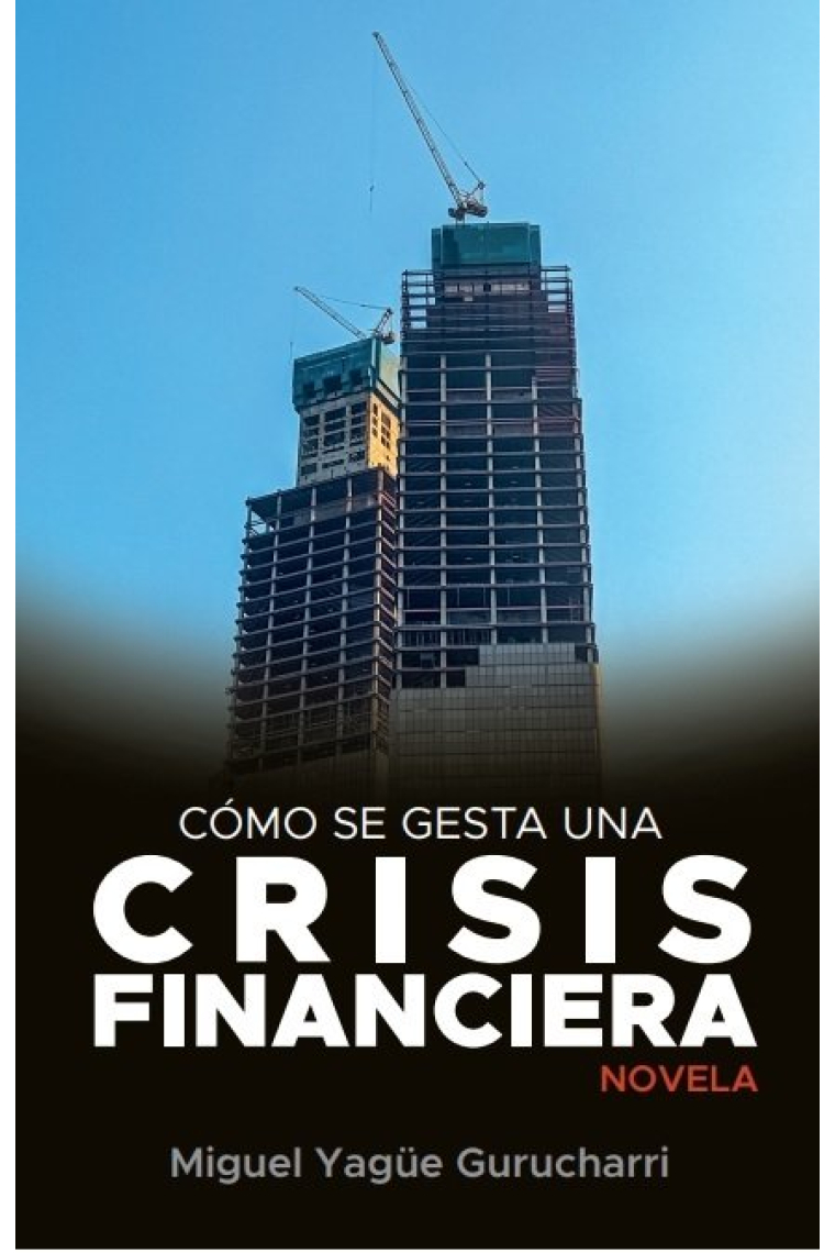 COMO SE GESTA UNA CRISIS FINANCIERA