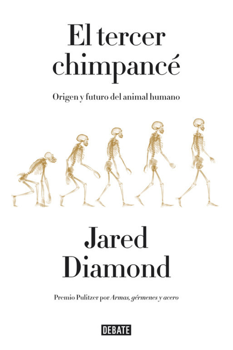 TERCER CHIMPANCE,EL