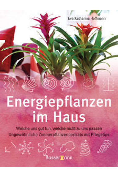 Energiepflanzen im Haus:Welche uns gut tun, welche nicht zu uns passen