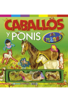 Caballos y ponis con imanes