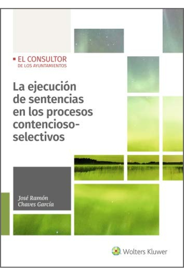 La ejecución de sentencias en los procesos contencioso-selectivos