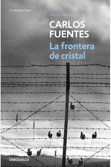 La frontera de cristal