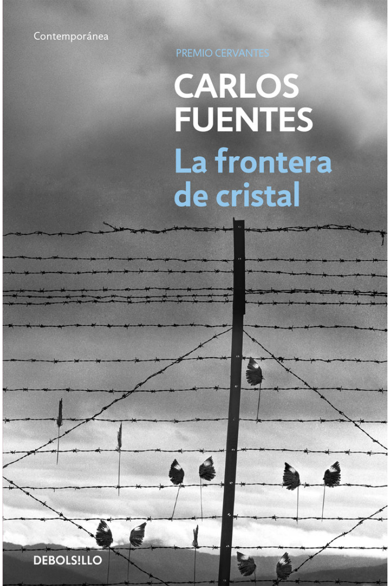 La frontera de cristal