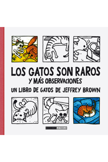 Los gatos son raros y más observaciones