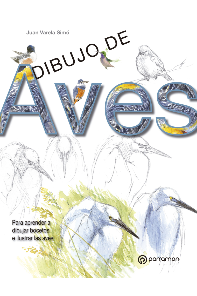 Dibujo de Aves. Para aprender a dibujar bocetos e ilustrar las aves