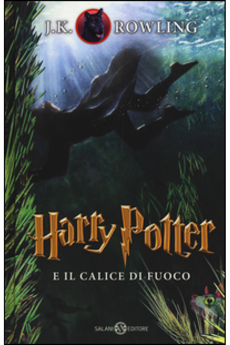 Harry Potter e il calice di fuoco 4