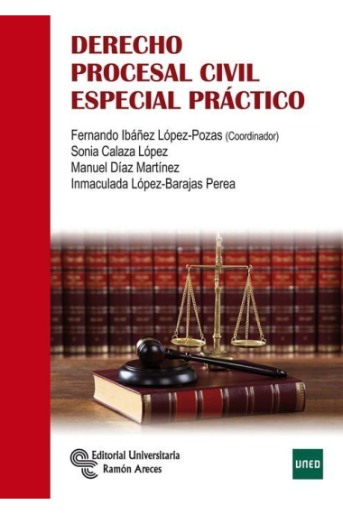 Derecho procesal civil especial práctico