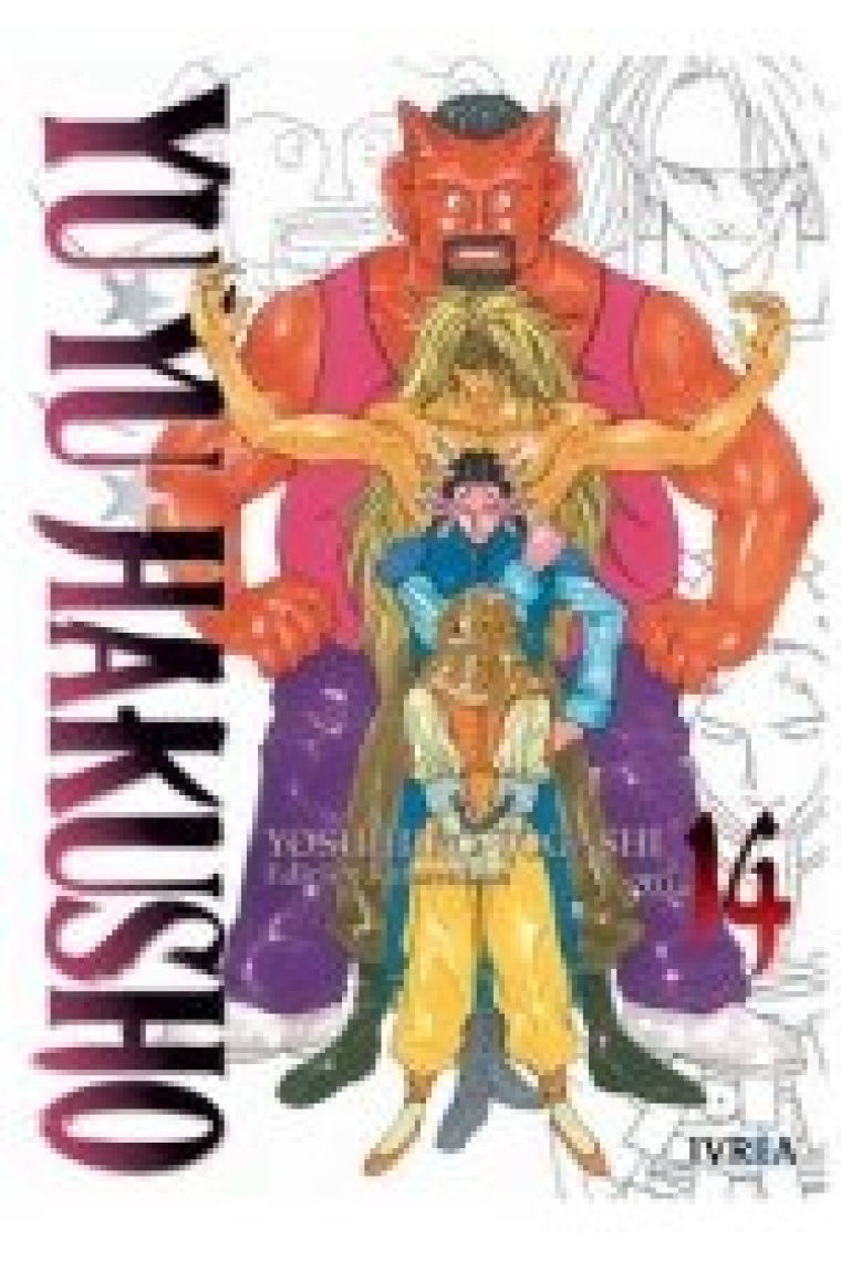 YU YU HAKUSHO EDICION KANZENBAN 14