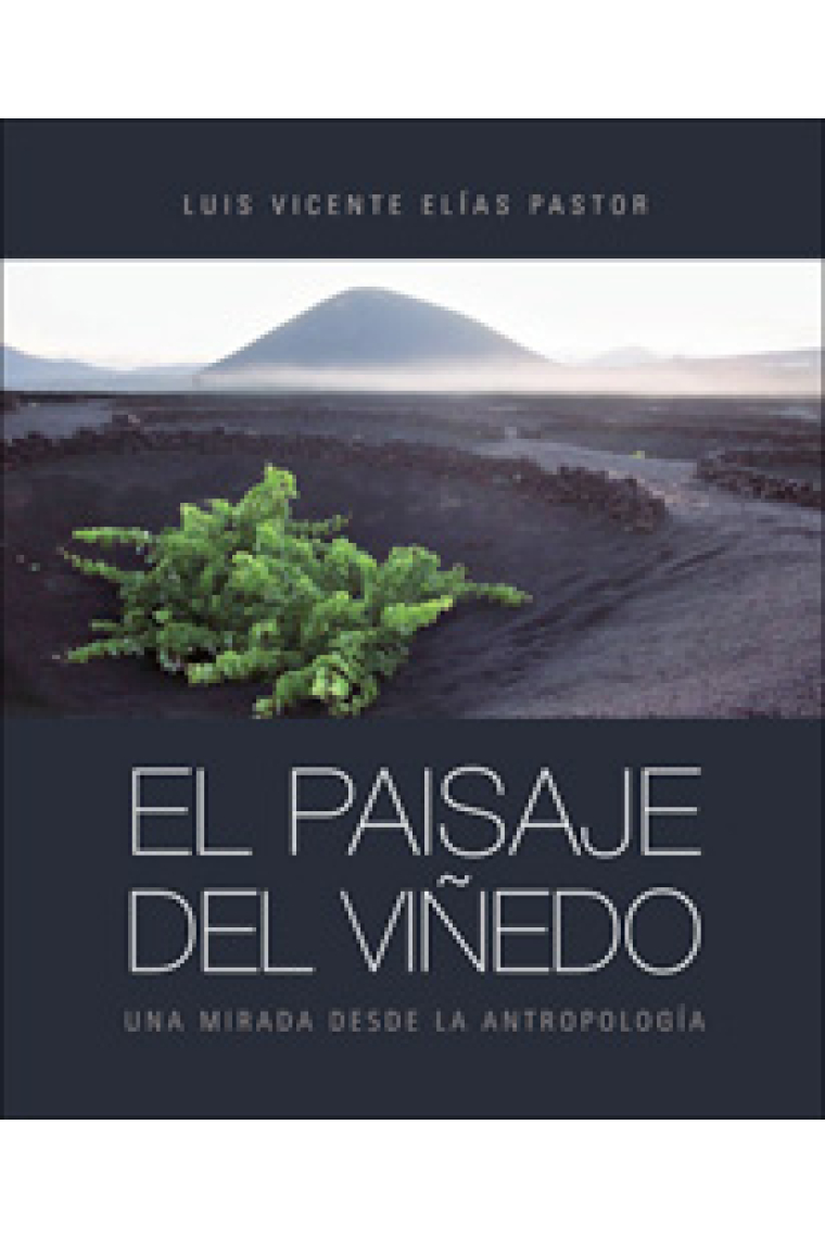 EL paisaje del viñedo