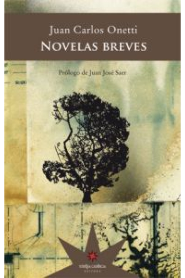 Novelas breves