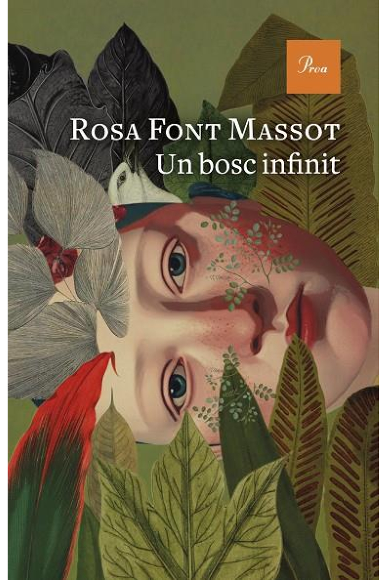 Un bosc infinit