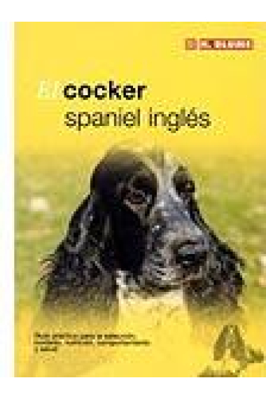 El cocker spaniel ingles