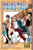 Fairy Tail 22