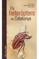 Els heteròpters de Catalunya