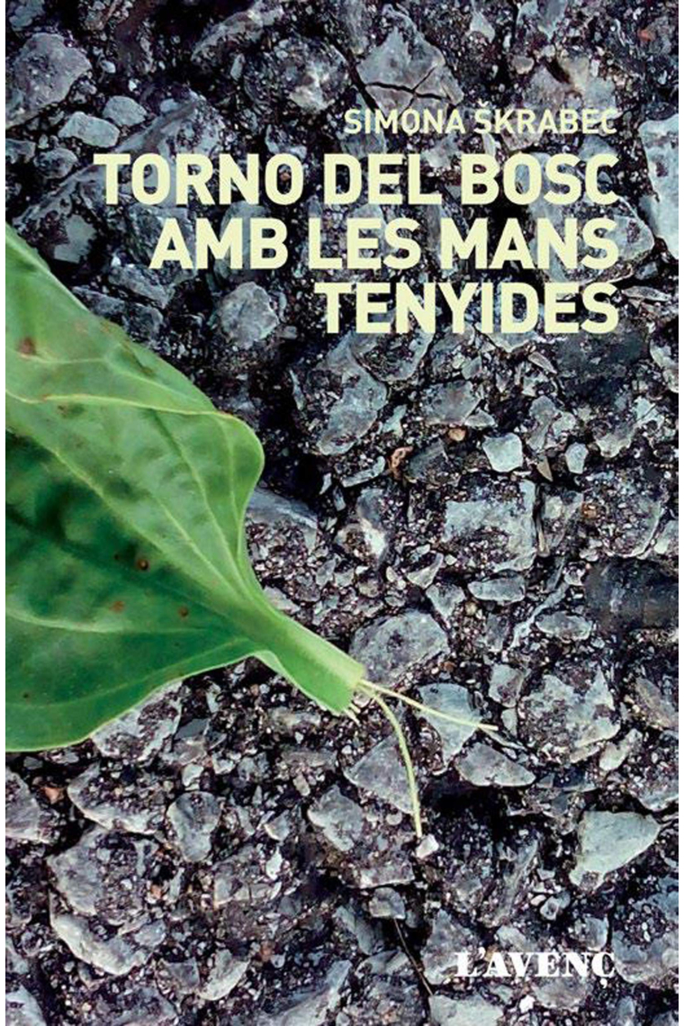 Torno del bosc amb les mans tenyides