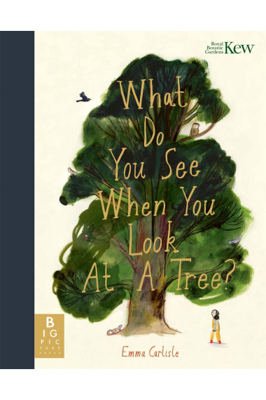 What Do You See When You Look At a Tree?