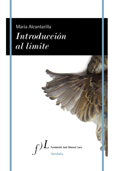 Introducción al límite