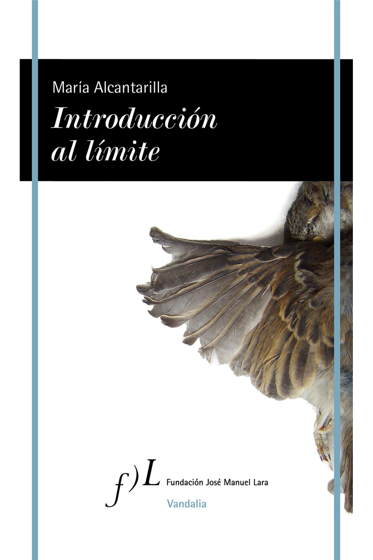 Introducción al límite