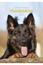 Hundeblicke 2020