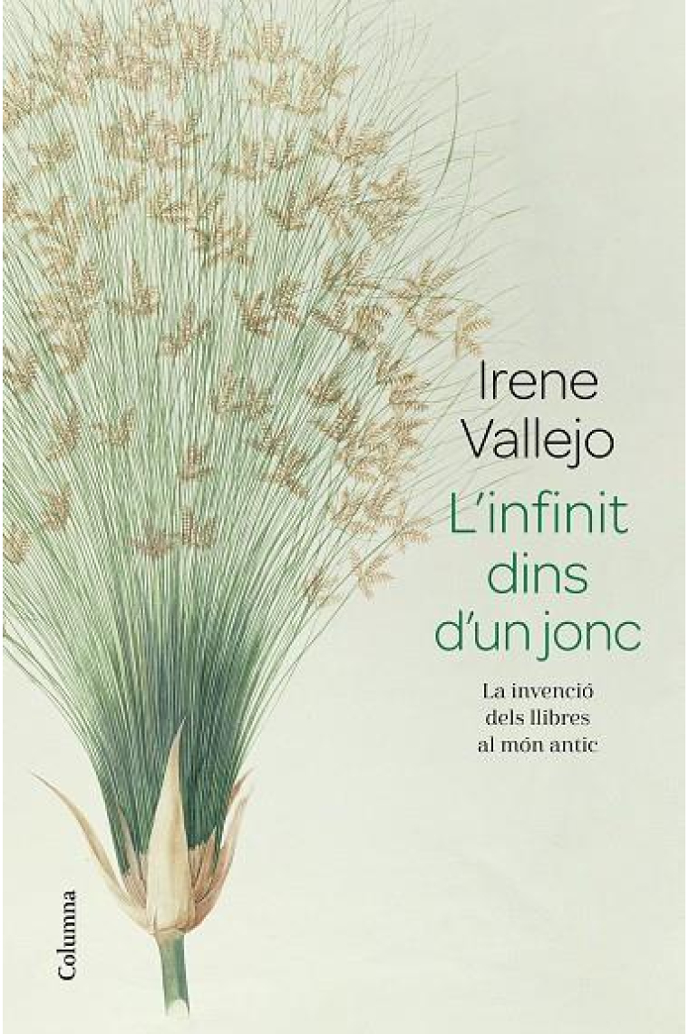 L'infinit dins d'un jonc: la invenció dels llibres al món antic