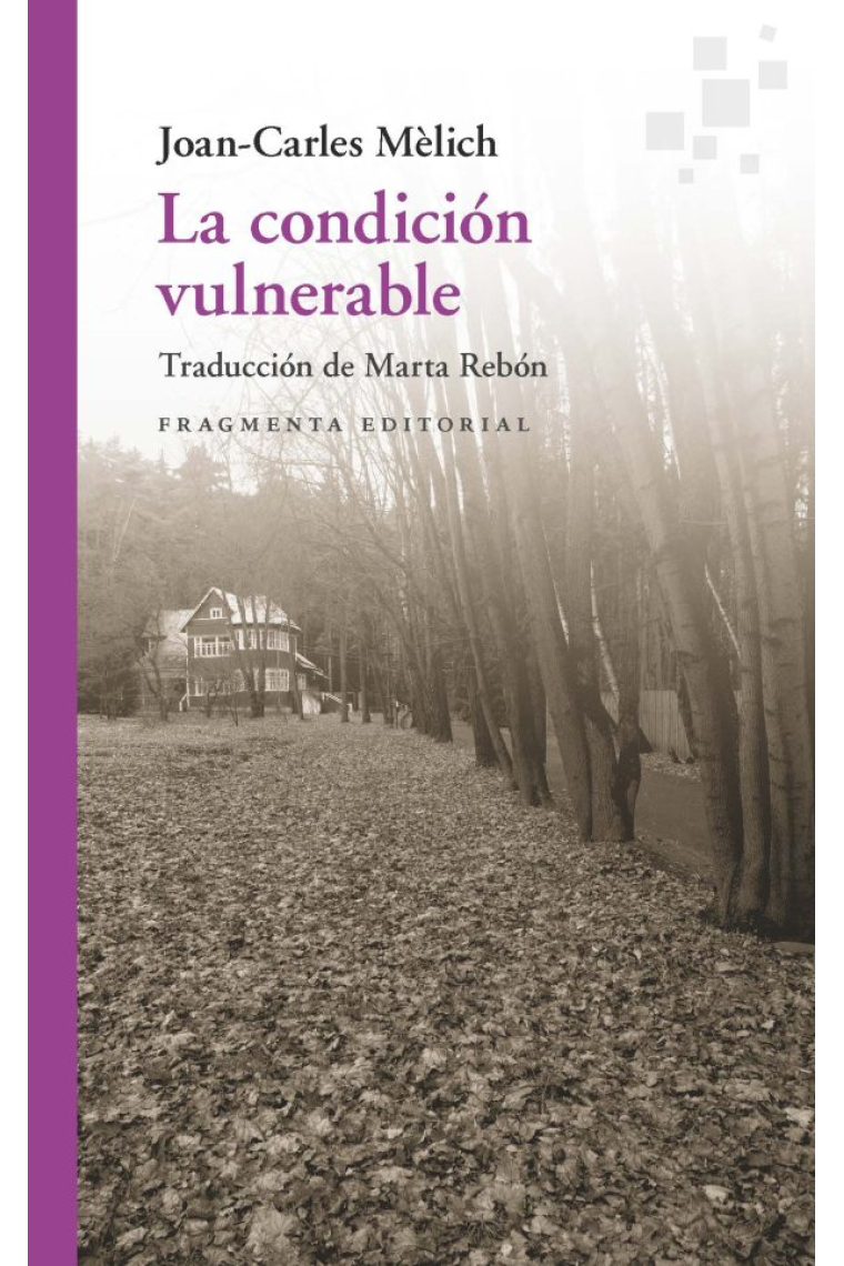 La condición vulnerable (Ensayo de filosofía literaria, II)