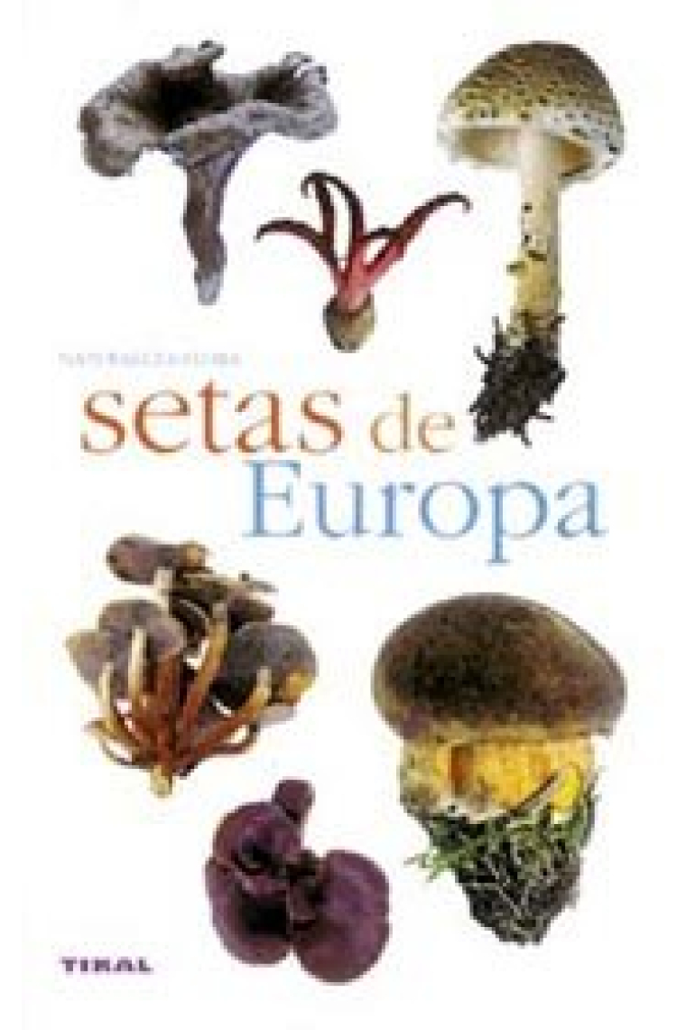 Setas de Europa