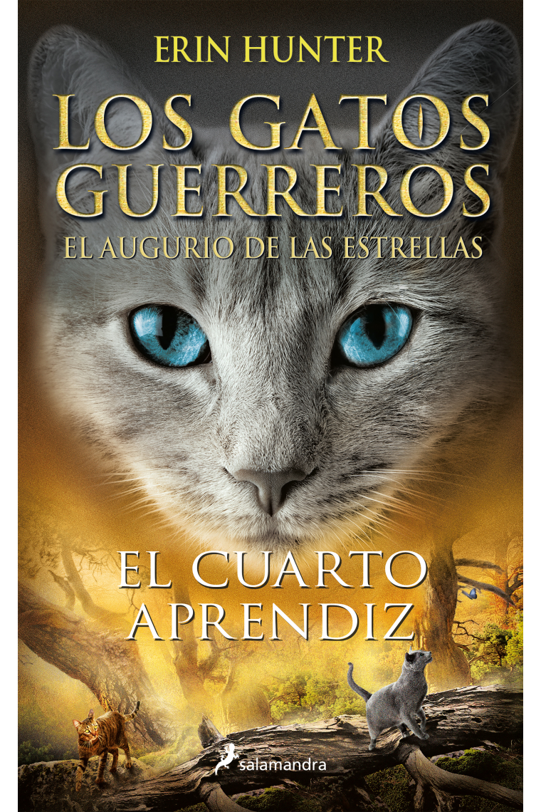 El cuarto aprendiz (Los gatos guerreros-El augurio de las estrellas)