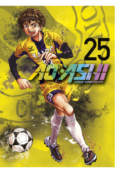 AO ASHI 25