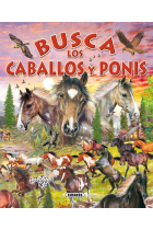 Busca los caballos y ponis