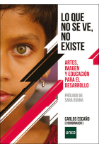 Lo que no se ve no existe. Artes, imagen y educación para el desarrollo