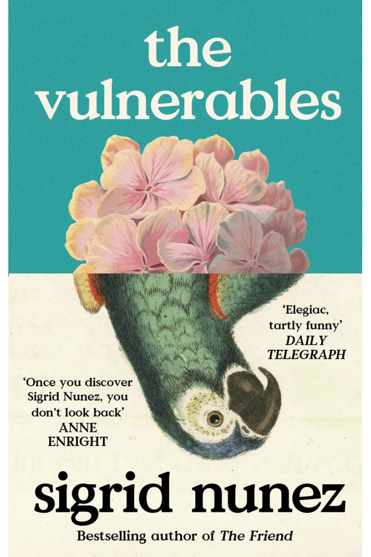 The Vulnerables