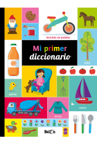 Mi primer diccionario MAXI