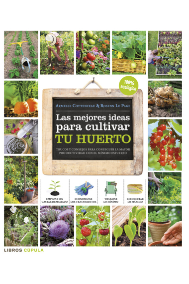 La mejores ideas para cultivar tu huerto