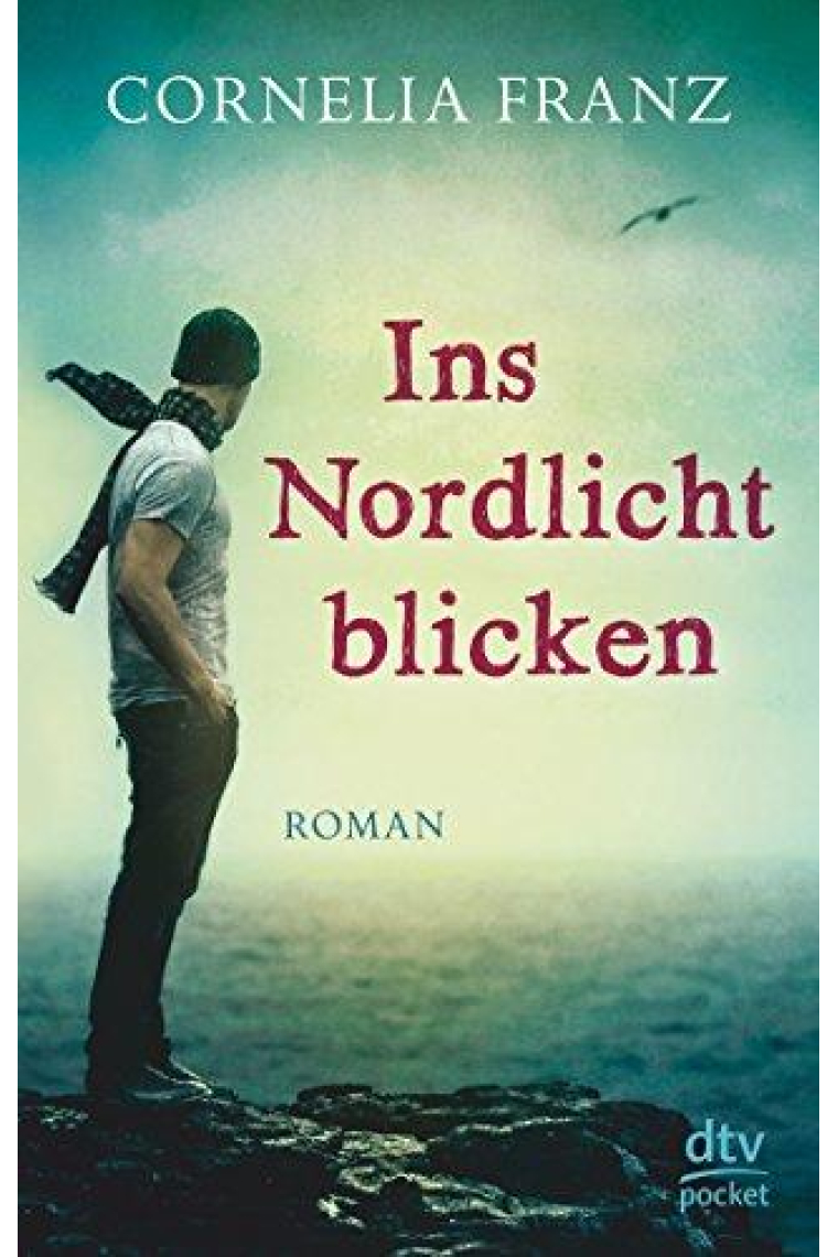 Ins Nordlicht blicken