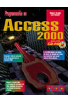 Programación en Access 2000