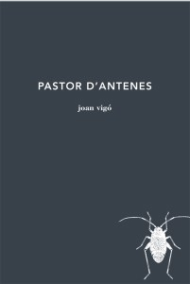 Pastor d'antenes