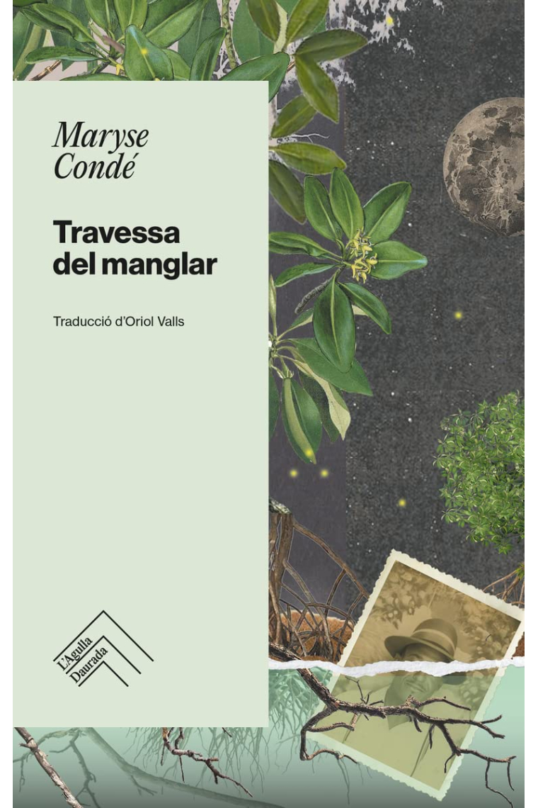 Travessa del manglar