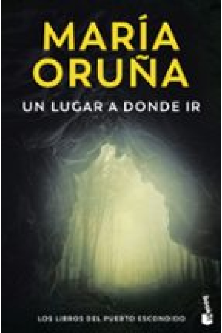 UN LUGAR A DONDE IR LOS LIBROS DEL PUERTO ESCONDIDO