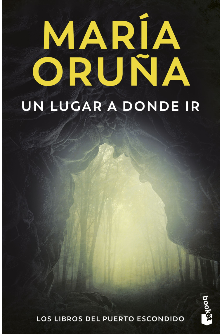UN LUGAR A DONDE IR LOS LIBROS DEL PUERTO ESCONDIDO