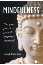 Mindfulness una guia práctiica para el despertar espiritual