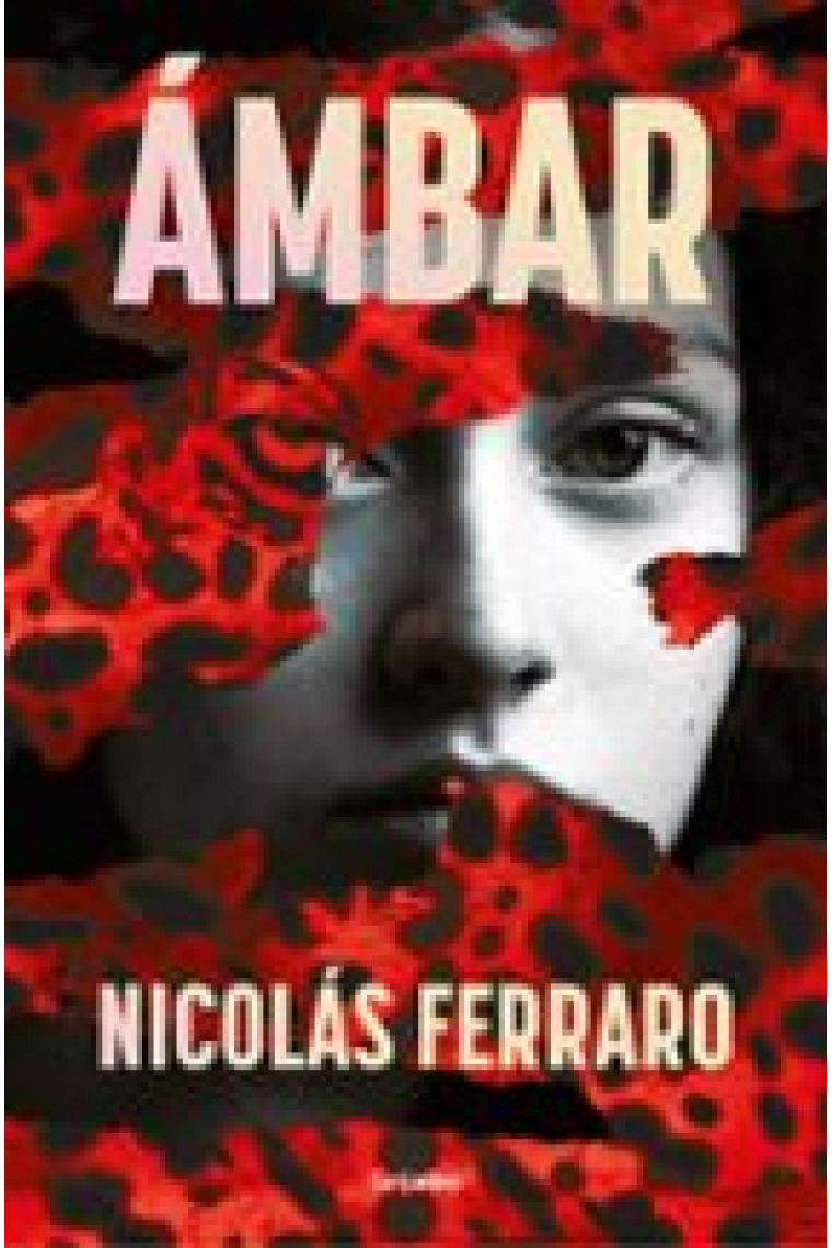 Ambar