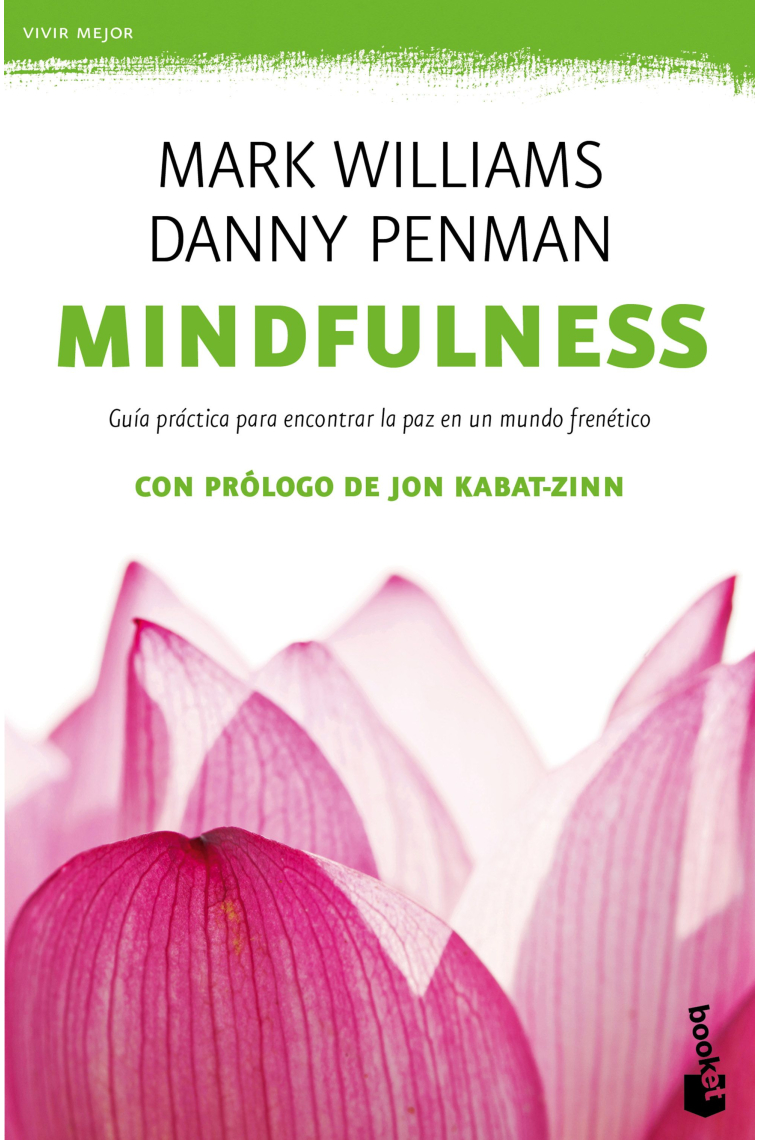 Mindfulness. Guía práctica