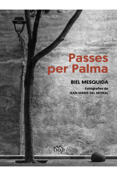 Passes per Palma (Amb fotografies de Jean Marie del Moral)