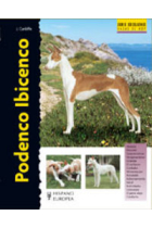 Podenco Ibicenco