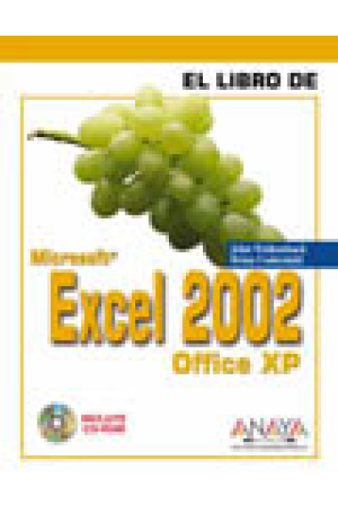 El libro de Microsoft Excel 2002